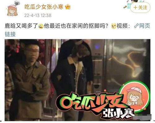 狗仔爆料加菲视频播放,加菲猫萌态视频走红网络  第3张